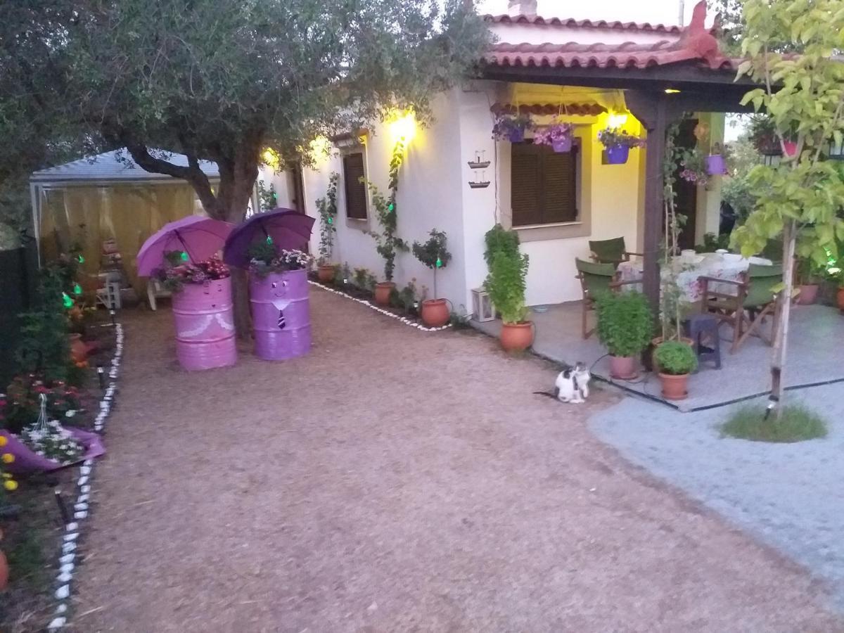 Killini Cottage Studio The Small Cyclades Kastro-Kyllini Exterior foto